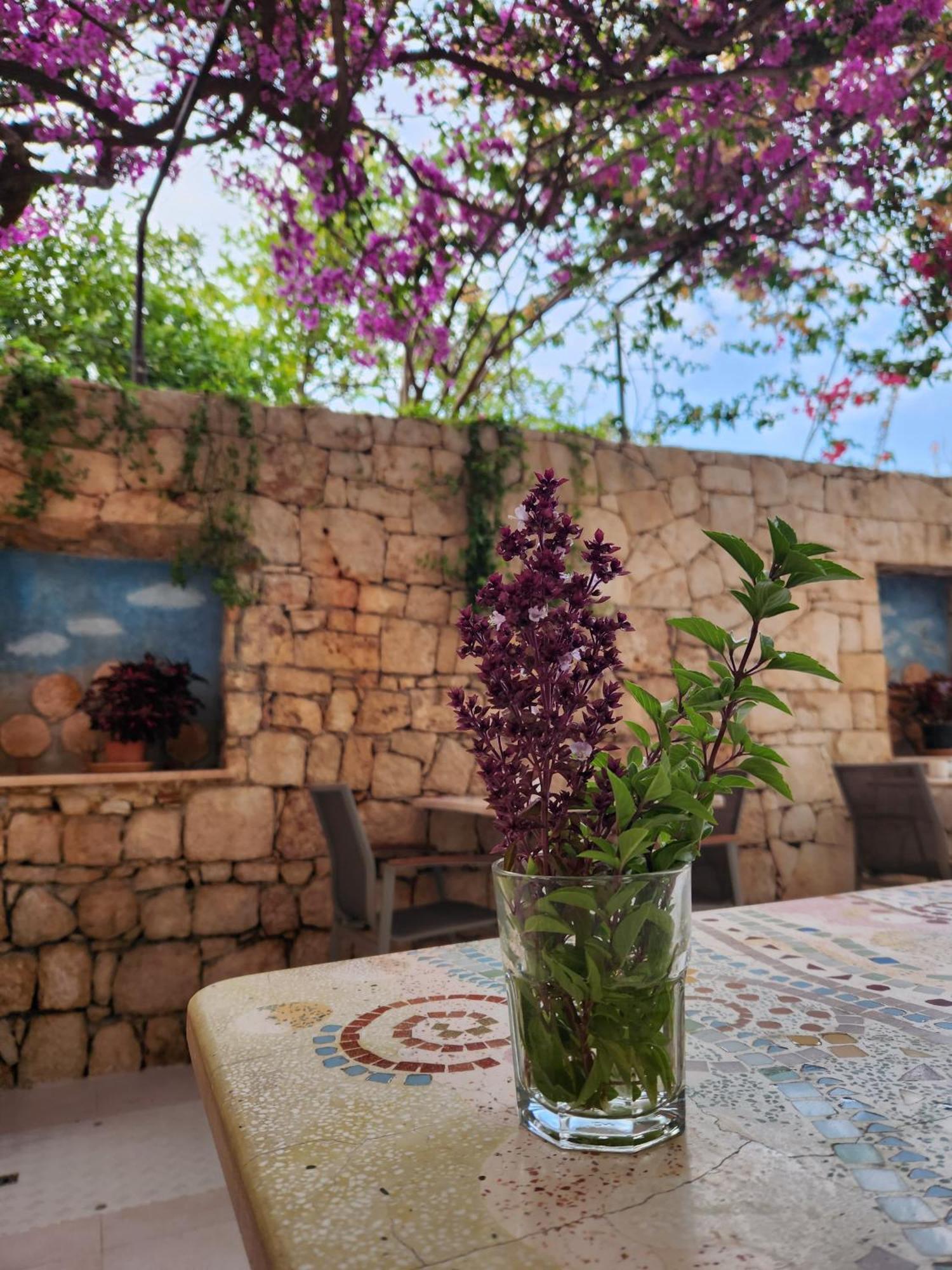 Hotel Begonvil Kas Bagian luar foto